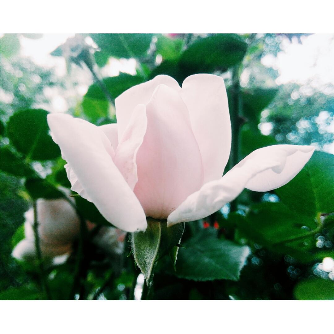 BlueTheJay's tweet image. 