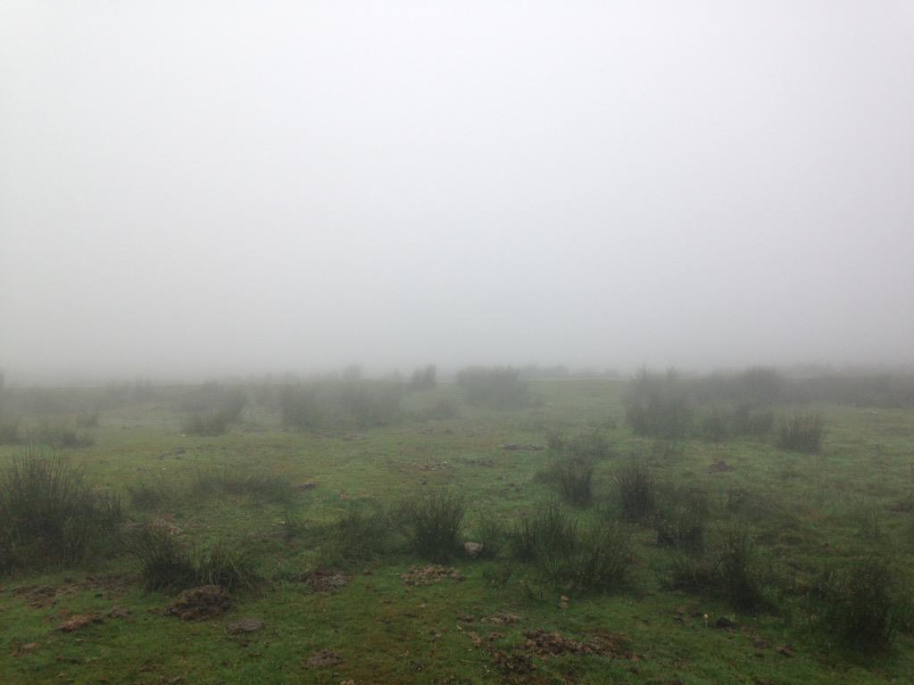 AndreaBishopTV's tweet image. Got 'rescued' today from a v. misty #Dartmoor by @DsrtTavistock. Luckily it was training exercise for @ITVCountrywise