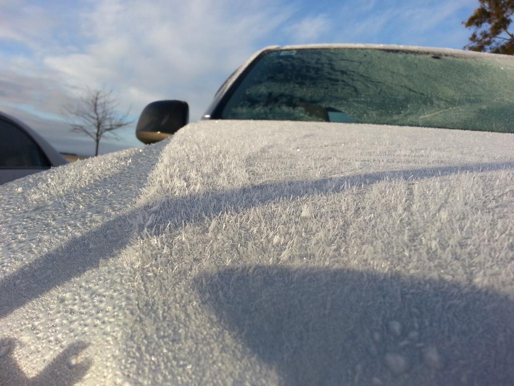 WCropW's tweet photo. So cold this morning the the utes grown a #seedingbeard #stubbleissexy http://t.co/NzLozEBGO6