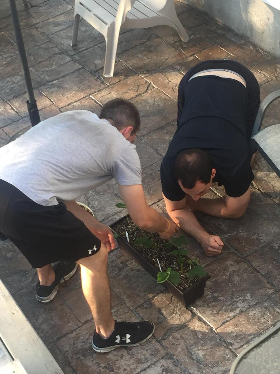 Gail Stanley tweet media