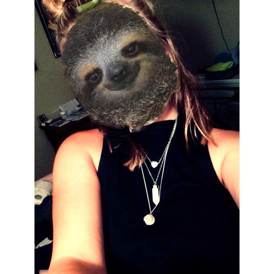 youasasloth's tweet photo. @bethany_opthof http://t.co/3YvJu3wzVK