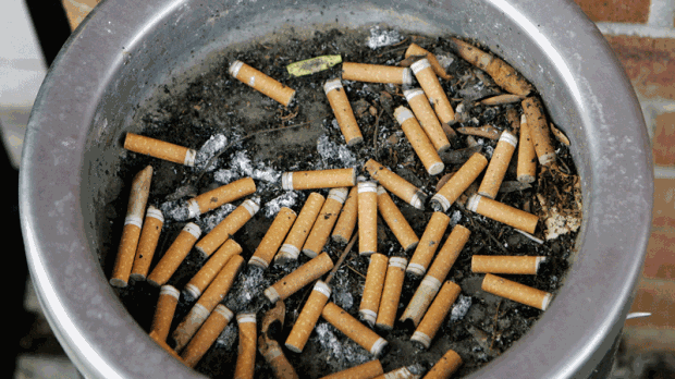 CTVVancouver's tweet photo. Fair punishment? B.C. mulls impounding cars if drivers throw lit butts. #CTVFireLine http://t.co/odm50FspdU http://t.co/3vE1BL2D9G