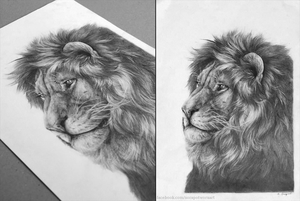 50% discount - $1000 for hyperrealistic A3 drawing of whatever You want. Free shipping worldwide. DM for details. 