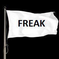 princesswahlbee's tweet image. Fly it high ladies  #FreakFlag  #BushGate
