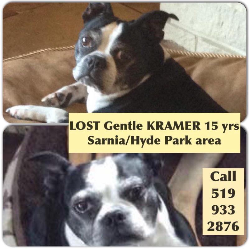 Humane Society London & Middlesex on Twitter "Help senior Kramer 15