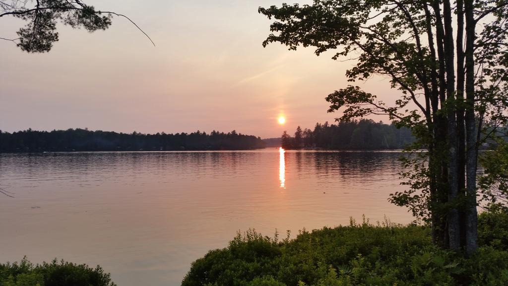 Tim Lussier tweet media