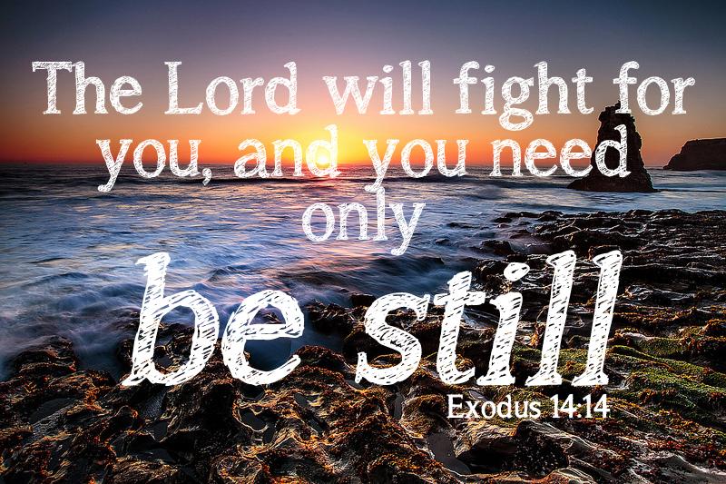 SimpleInspires's tweet photo. The Lord will fight for you, and you need only be still. #BibleVerseofTheNight http://t.co/nEeGlkSvxP