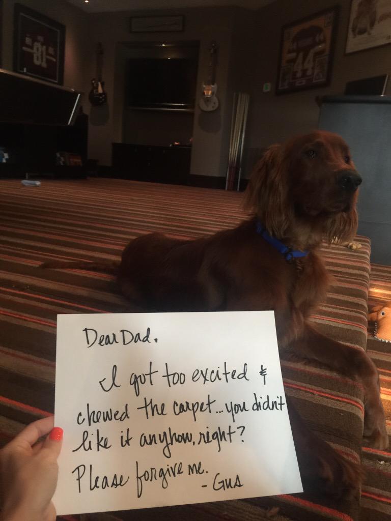DaleJr's tweet photo. Yall get notes from your pets? Amazing penmanship Gus. http://t.co/AXolg0Cmzd