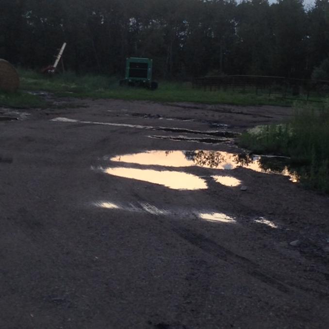 Million Dollar Rain!!!