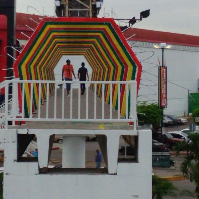 StArtEverywhere's tweet photo. Chamba de hoy: Rasta bridge. #rasta #bridge #puente #street #streetart #urban #urbanart #streetartchilango #culiaca… http://t.co/fBcmPjRHfp