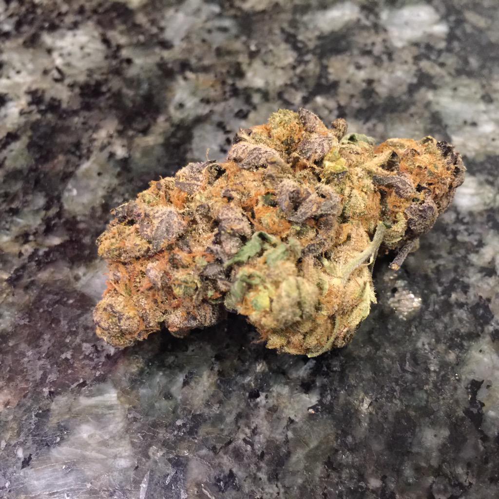 ConstantlyOnOne's tweet image. Got that purple stank stank with the golden fur