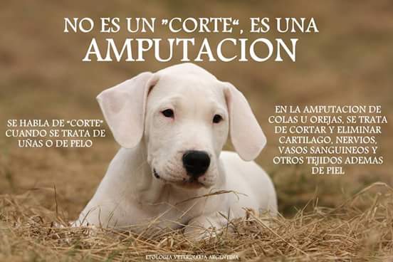 Raulmart89's tweet photo. http://t.co/M1Ax2OSgJ4