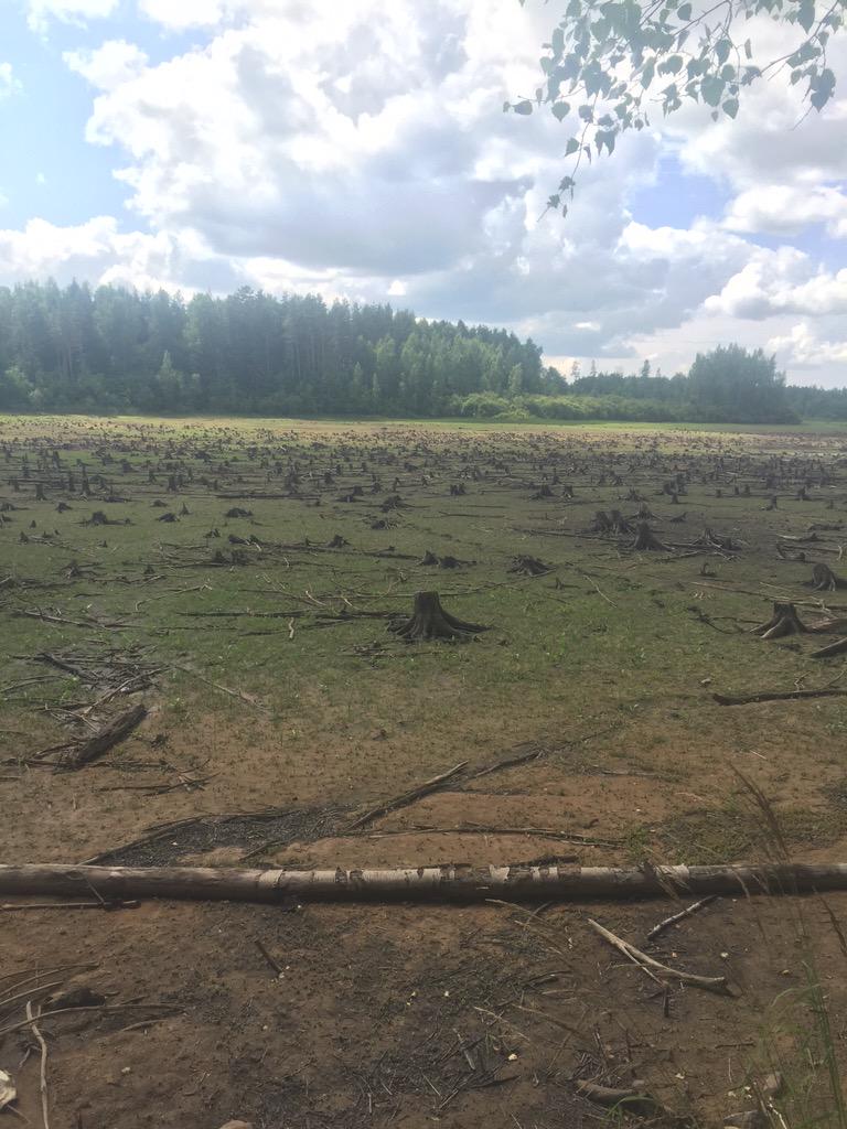 Ruksane's tweet photo. Ilustrācija tam, kāpēc lekt uz galvas ūdenī bīstami. Nolaista dīķa dibens. Kad ir ūdens, celmus neredz. http://t.co/FJo4iUVHY6