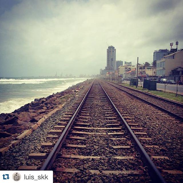 MenuLk's tweet photo. We ❤️ Colombo and the Food around  #menulk #colombo #instalike #travel #srilanka #srilanka… http://t.co/QBvTU6eLRT http://t.co/0Cley4MGnp