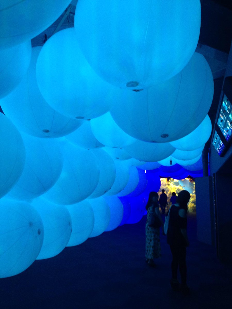 えのすいチームラボ Twitter Search