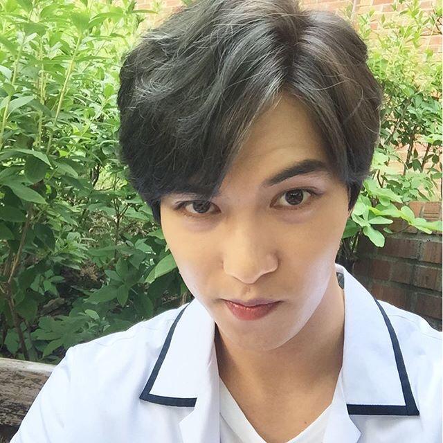 埋め込み画像への固定リンク