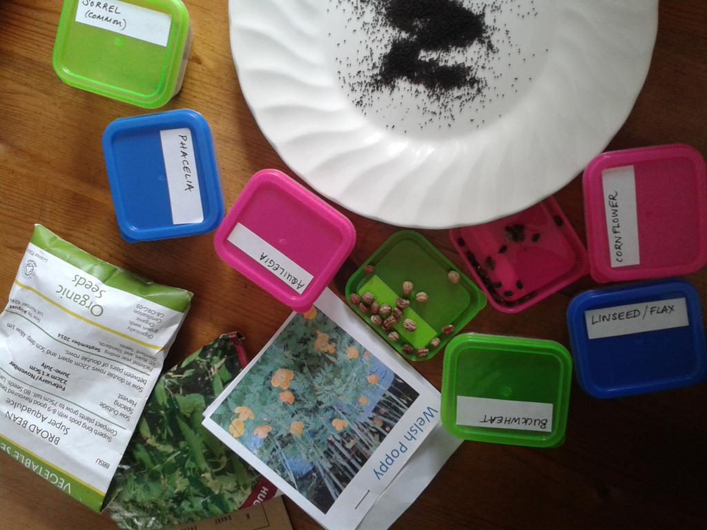 Preparing kit for this evening's SEED SAVING &amp; UNUSUAL EDIBLES workshop in #Cardiff- excited! Edrych ymlaen yn fawr!