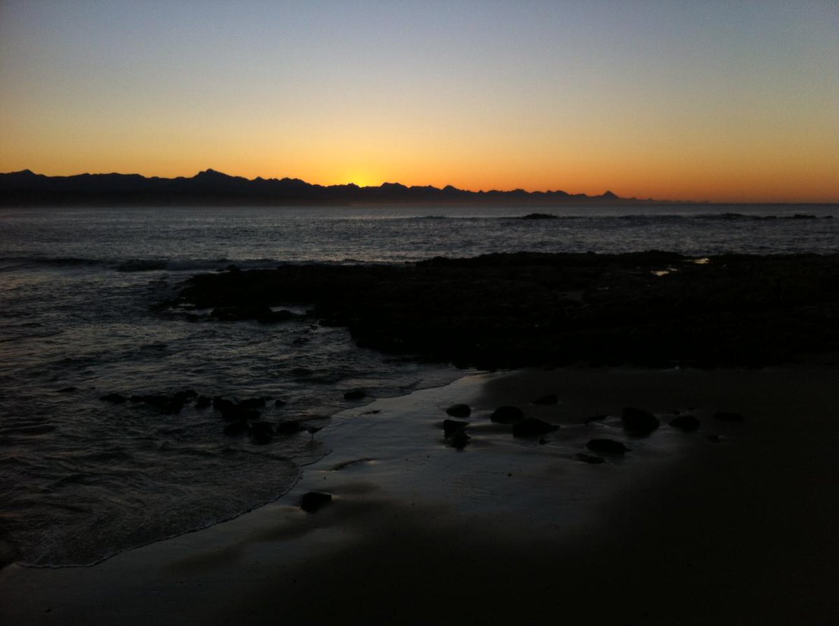 Prodive Plett tweet media