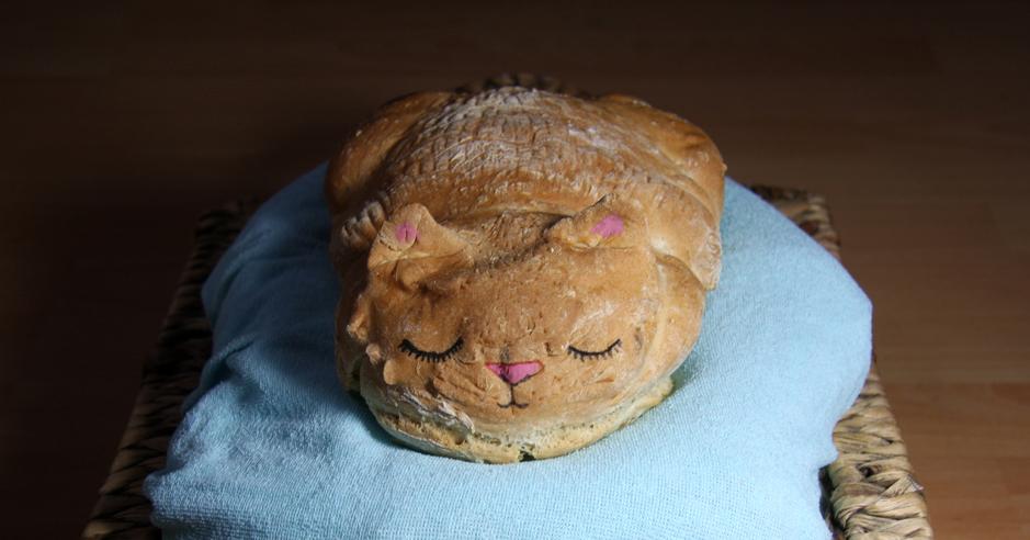 Можно котам хлеб. Кот хлеб. Кот булка хлеба. Булочка в виде котика. Кот батон хлеба.