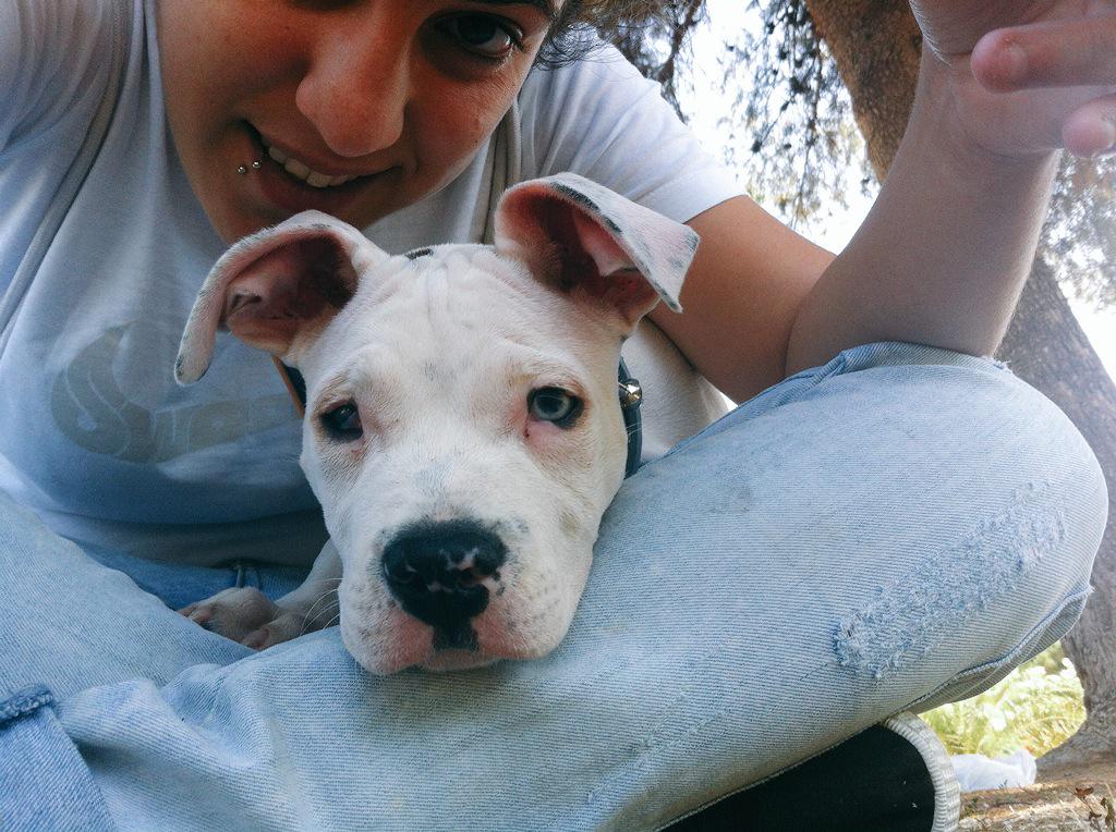 Mi cachorrón y yo os damos los buenos días,y que tengais un feliz miércoles 😘😘