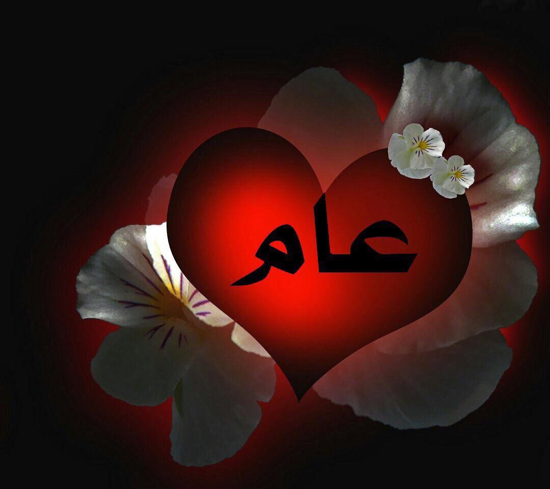 5ialy2013's tweet photo. http://t.co/4MZrzxUKXk