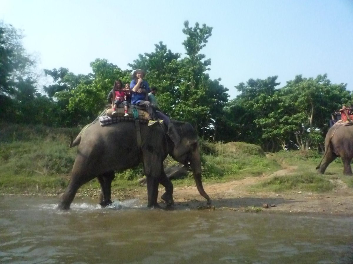 Jungle Safari in Nepal..
trekpoonhill.blogspot.com/2015/07/chitwa…