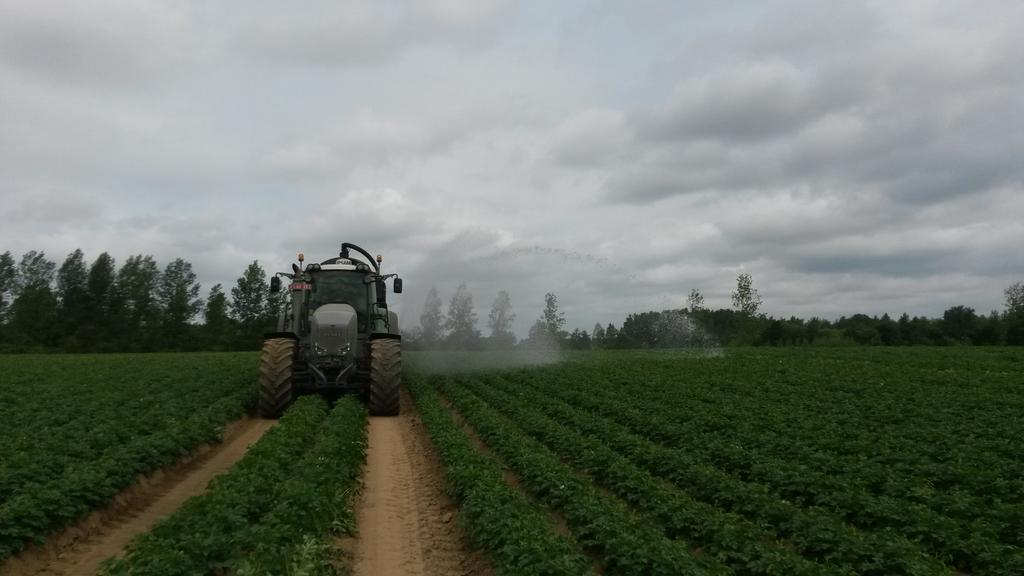 KoenVrancken's tweet photo. Innovator heeft stress, water gewenst #aardappelmarkt http://t.co/SYLw3svUOE