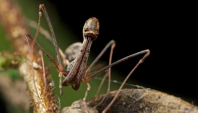 Permalien de l'image intégrée