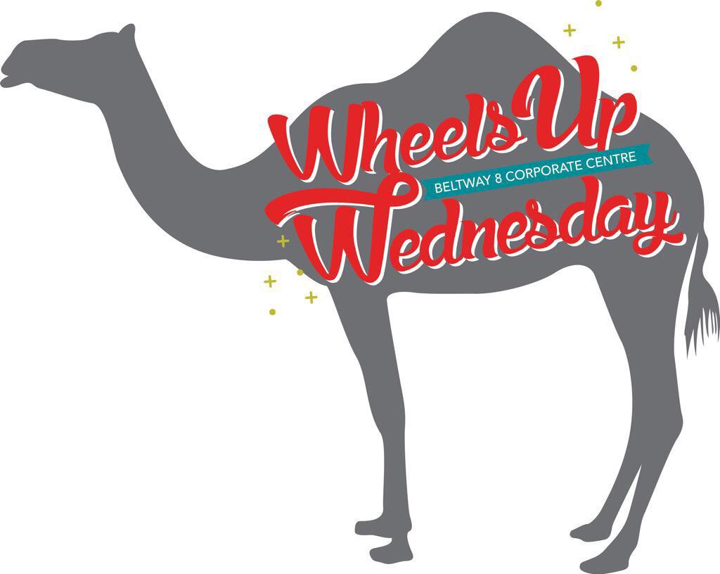 #Humpday Rise &amp; shine! Follow the camel to your happy place...it's time for our monthly food truck lunch fest!
