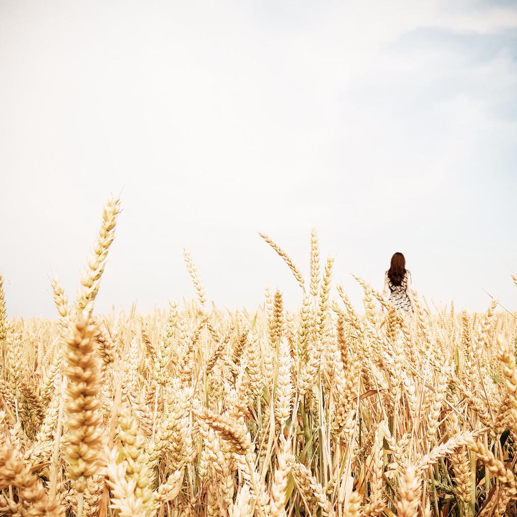 Aladiia's tweet photo. Sommer 💛 http://t.co/YkeDlgJKnT