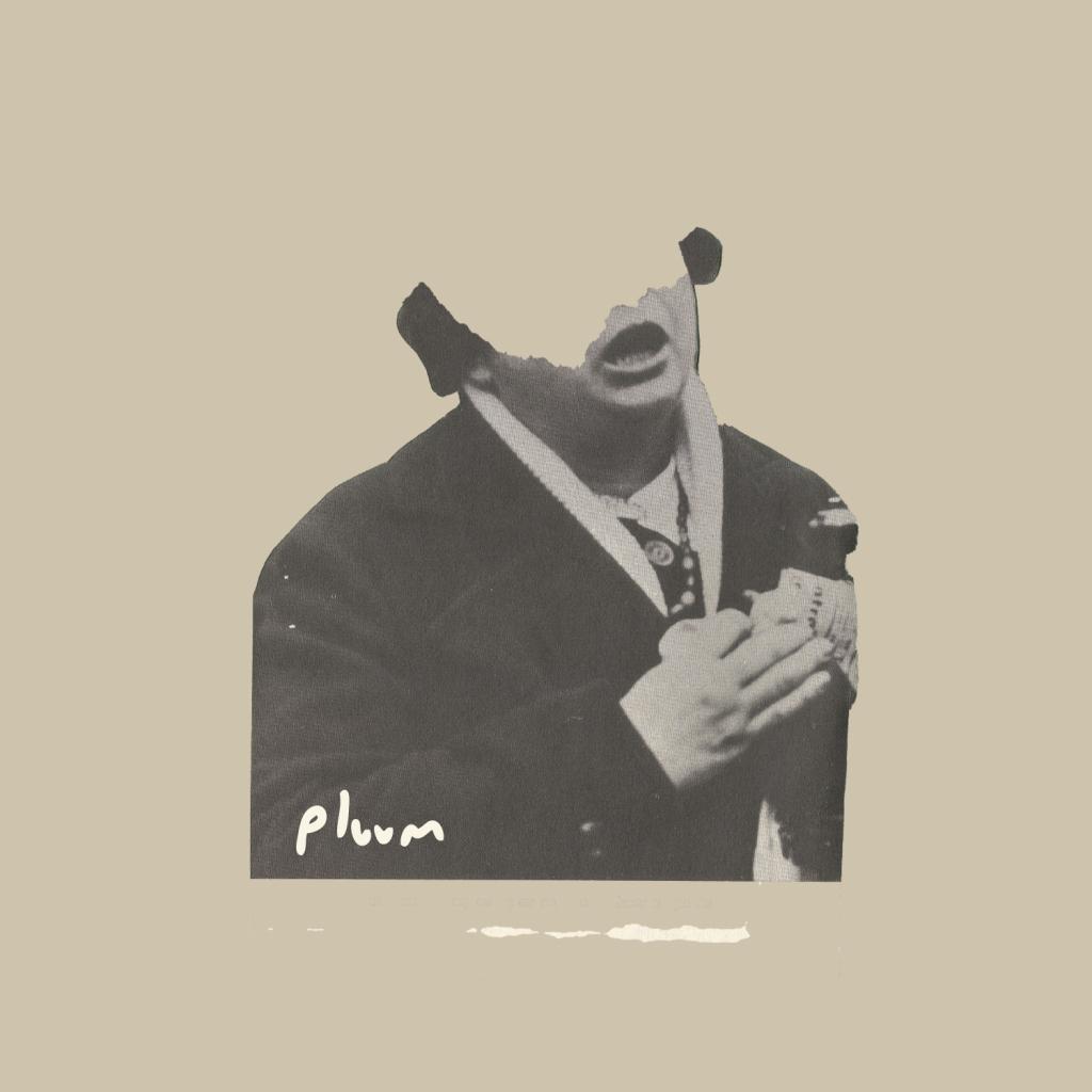 [ALBUMS] Pluum – Homonyme (2015) vakarme.org/2015/07/15/alb…