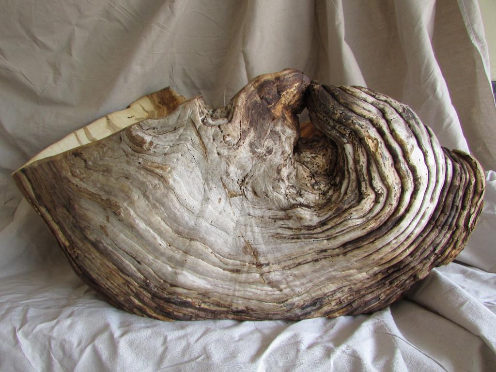July 15 #burloftheweek! the other 1/2 of last weeks burl... on.fb.me/1gC9CxF #handmade #art #majestic #Canadian