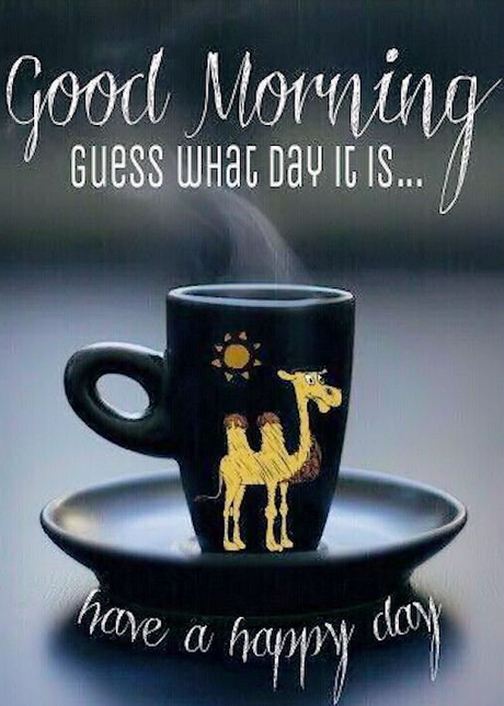 Resume-Now tweet media