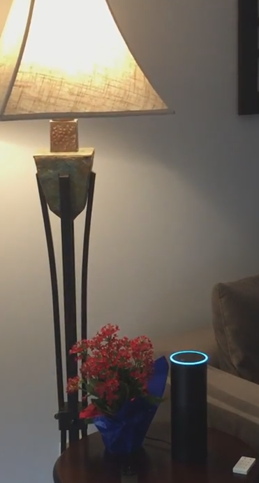 HomeAutomationG's tweet photo. @AmazonAppDev @ Voice Control for  via Amazon's Echo and Intellihome: http://t.co/AygbfOT1cK https://t.co/ZymMQPh6aw http://t.co/TwjNpSnoBJ
