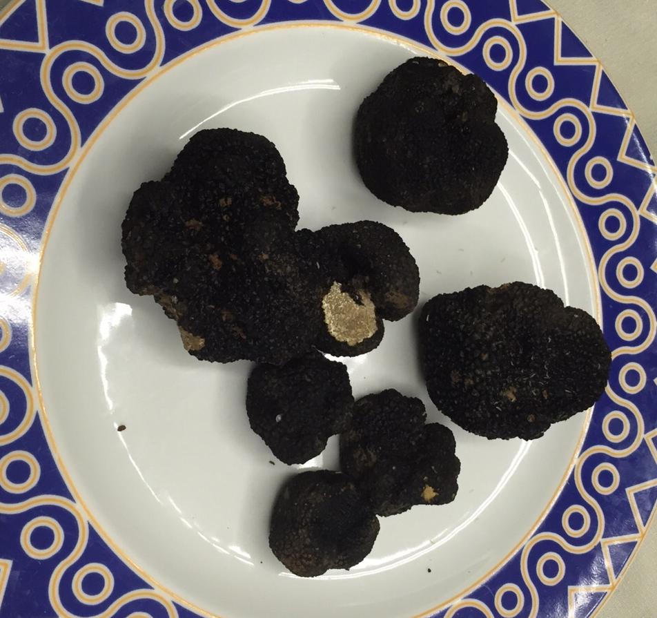 CaXoret's tweet photo. Trufa Blanca recién traída del Toro.
Te apetece probarla en uno de nuestros platos??? http://t.co/T3lx55bnPw
