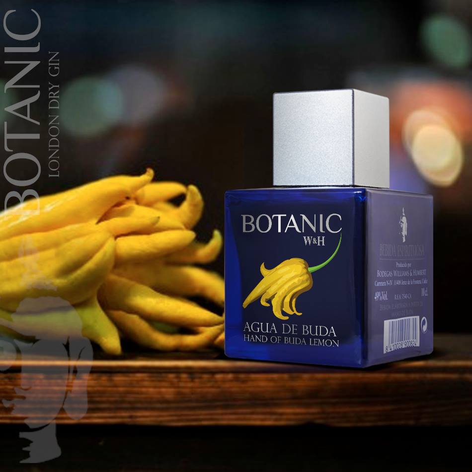 bodegaswilliams's tweet photo. ¿Cómo usar difusor Mano de buda para tus GinTonic? 
Pulveriza por el filo del vaso o por los hielos en tu #GinBotanic http://t.co/TCN13usBAS