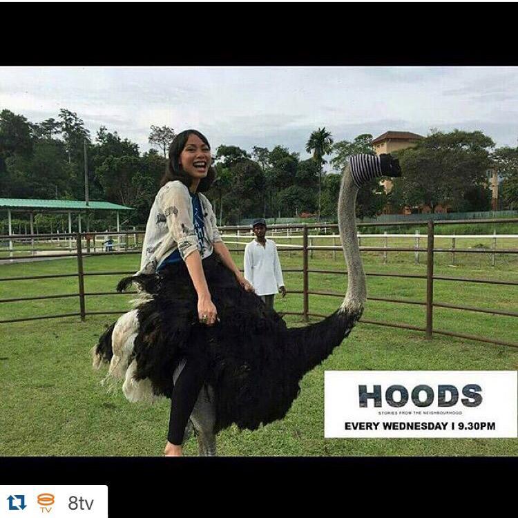 FlyFM958's tweet photo. Catch Zher riding an Ostrich TONIGHT at 9.30PM! #8TVHoods #8TV #CH708 #FlyRaya http://t.co/6Xyy9CMguX
