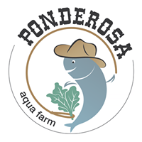 MyPonics's tweet image. Follow Ponderosa Aqua Farm on Facebook at - on.fb.me/1HqRBbn