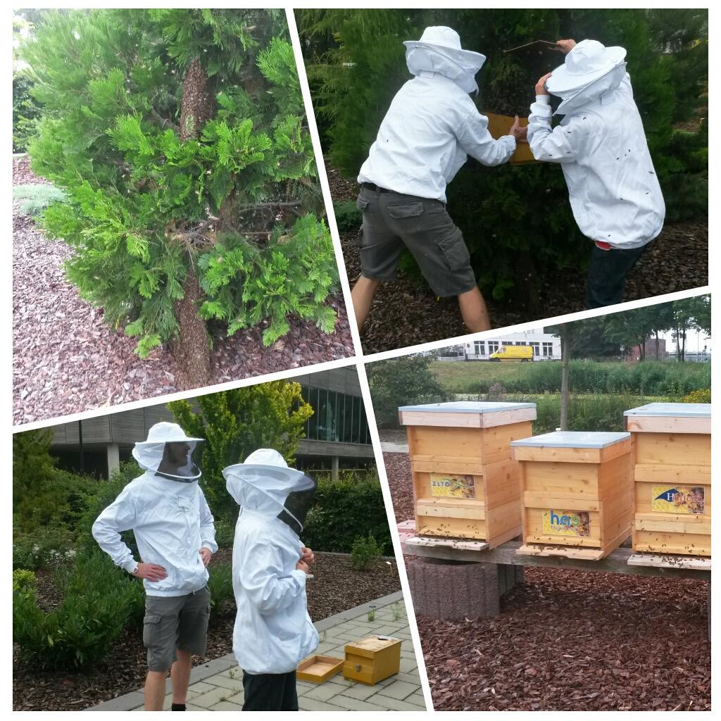 G. van Schijndel tweet media