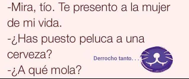 bioloenfurecida's tweet photo. La cerveza. La mejor compañia de todas. http://t.co/b3hnxl3soX