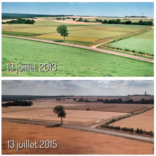 BourgogneLive's tweet photo. Impressionnante comparaison de @DijonCereales sur FB entre l'été 2013 et 2015... https://t.co/lNQtFi2Bwa http://t.co/zIOGgex6cy