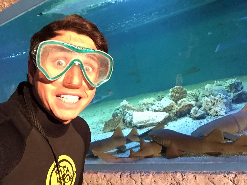 Karol_LuceroV's tweet photo. Buen panorama en vacaciones de invierno!! Nadar con Tiburones 😱@Aquamundo_ ...Sintonicen ahora @muchogustoMEGA RT! http://t.co/EvjVCrOf3Y