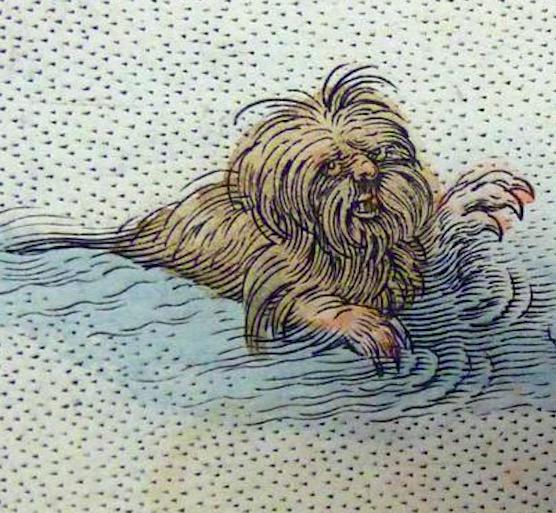 Señor Medievo tweet media