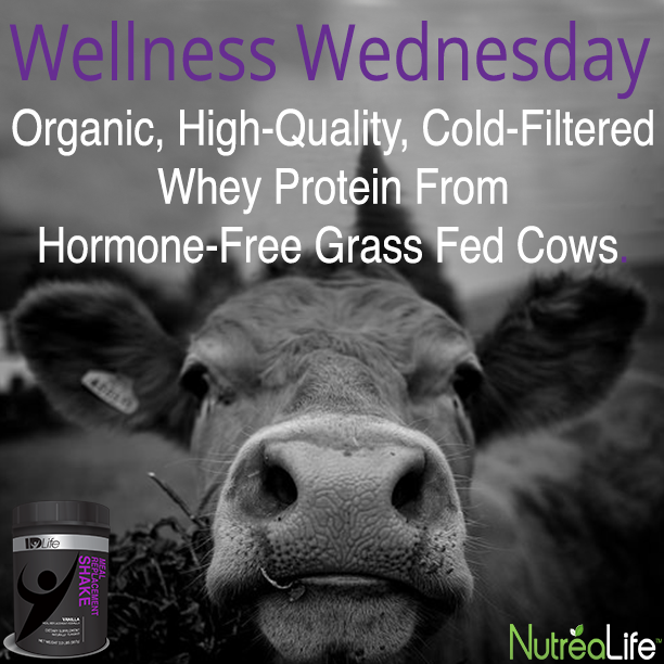 Nutrea_Life's tweet photo. WELLNESS WEDNESDAY
IDLife #ProteinShake #NonGMO &amp; Free of #Lactose #Casein #Gluten #Soy &amp; #MSG http://t.co/absasZ7ZdV http://t.co/tXbComwFcL