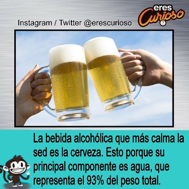 EresCurioso's tweet photo. La cerveza. http://t.co/huMbQ7tdHg