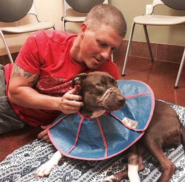 Pit Bull Whose Jaws Were Taped Shut Gets a New Home, Becomes a Model vytm.in/s1Bgkw #puppy