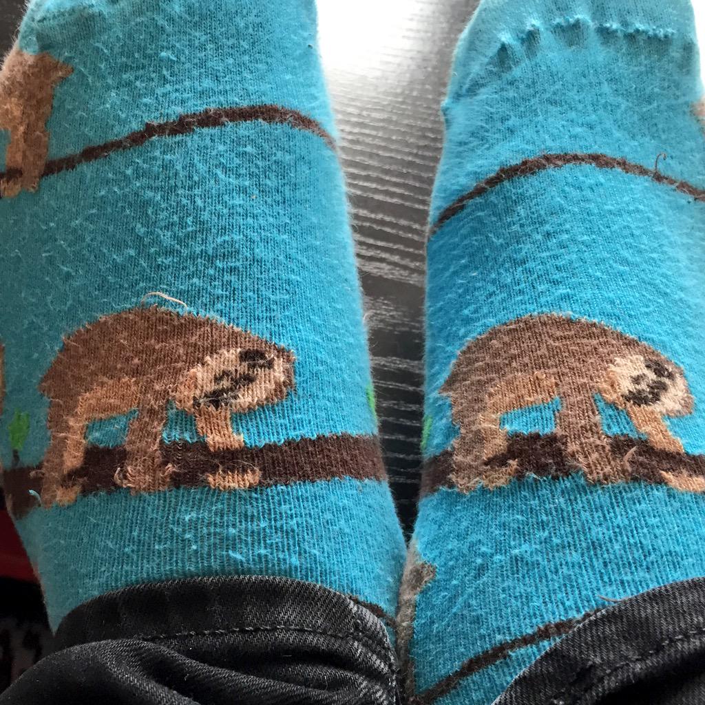 AmazingPhil's tweet image. My socks represent my productivity today