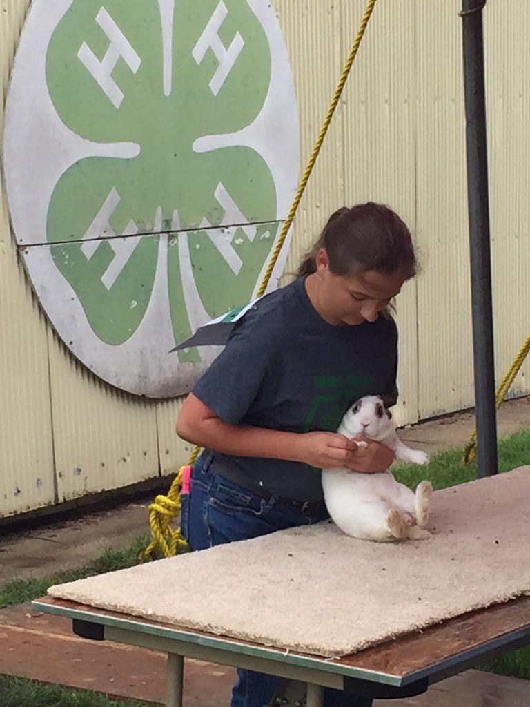 NTVsGrow's tweet photo. Adams County Fair #4HNE rabbit show http://t.co/qWiAIoDIti