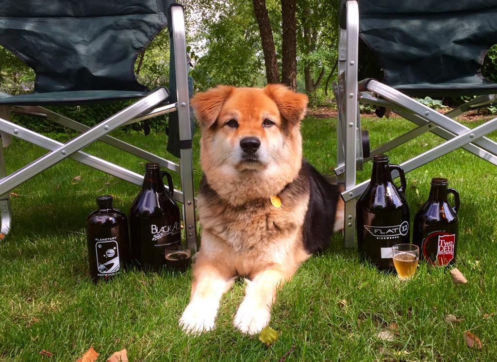 AmyBHaneline's tweet photo. BIG NEWS! @Indybrewdog will be at @DrinkIndiana’s #INbeerfest. Find her at the @indystar booth. #SnicksPicks 🐶 http://t.co/XvZfdXzwDJ