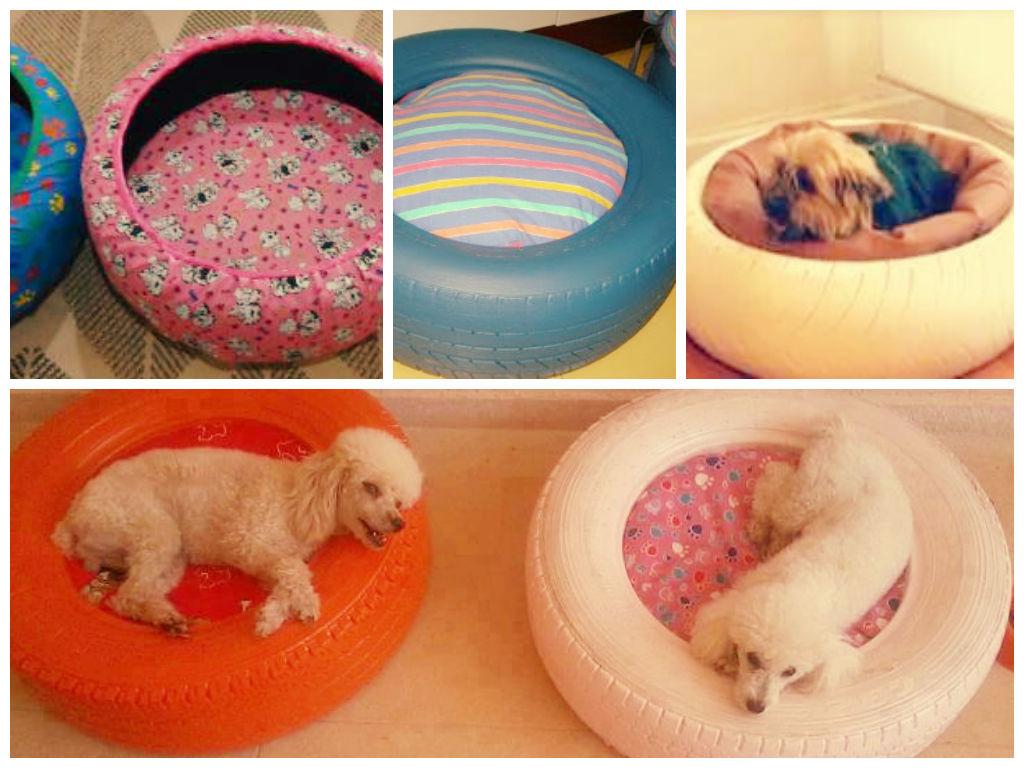 redeslocais's tweet photo. Veja quatro ideias de casas e camas sustentáveis para gatos e cachorros: https://t.co/UG56v7dLi1 http://t.co/5sXUFW4D6t